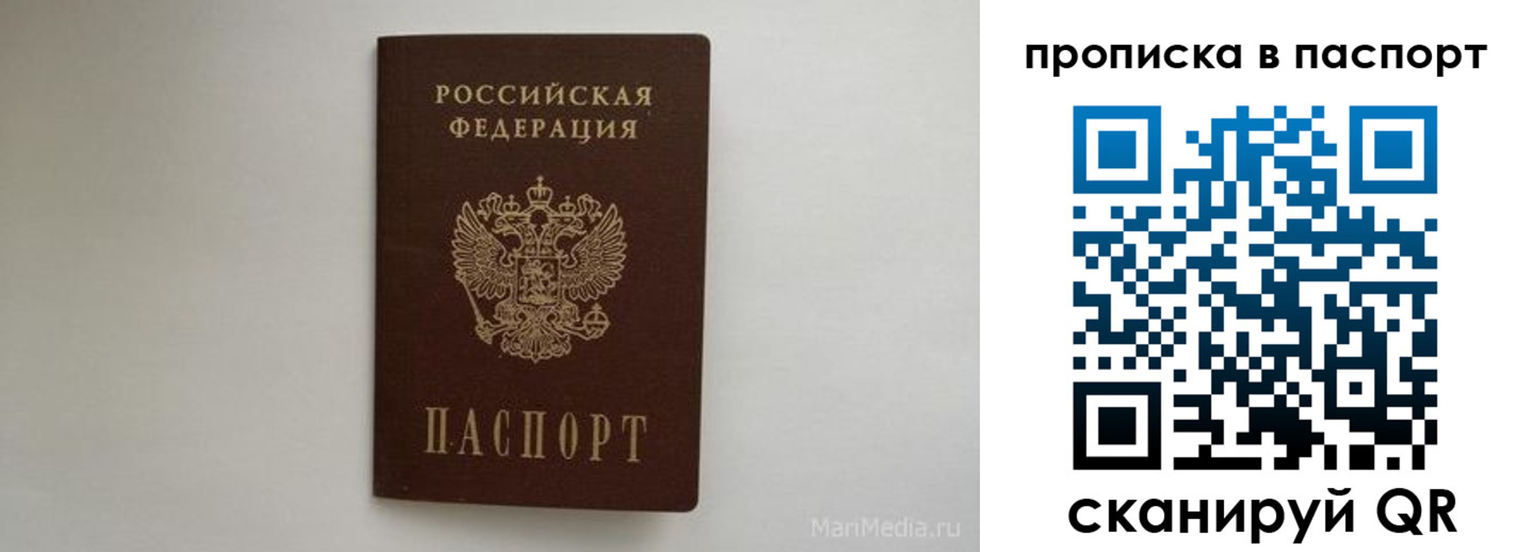 регистрация для школы в Ногинске